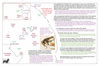 coo1e44 flattery to lizard_thumb.gif